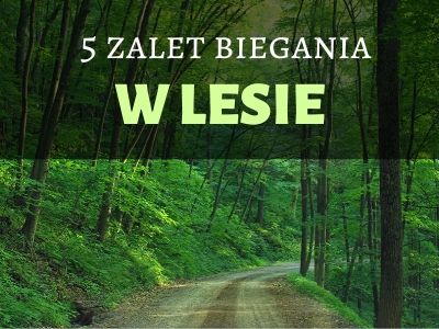 Bieganie w lesie