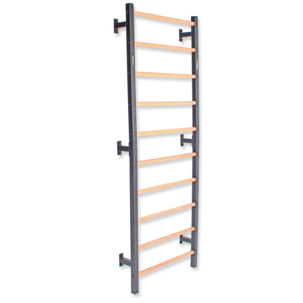 Drabinka gimnastyczna metal-drewno 232x85,5 cm Endorfit EH-DG08