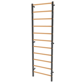 Drabinka gimnastyczna metal-drewno 240x75 cm Endorfit EH-DG05