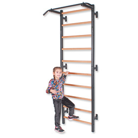 Drabinka gimnastyczna metal-drewno z drążkiem do podciągania 231x85,5 cm Endorfit EH-DG14