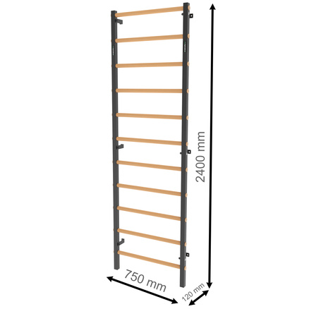 Drabinka gimnastyczna metal-drewno 240x75 cm Endorfit EH-DG05