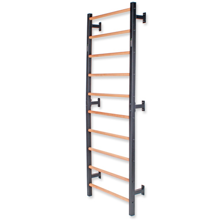 Drabinka gimnastyczna metal-drewno 232x85,5 cm Endorfit EH-DG08