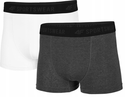Bokserki męskie L20 BIM001 4F 2szt.