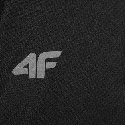 Kurtka zimowa męska KUMN013 Aquatech 3.000 4F