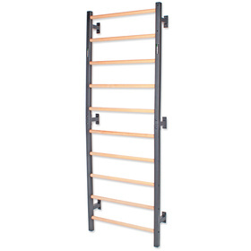 Drabinka gimnastyczna metal-drewno 232x85,5 cm Endorfit EH-DG08