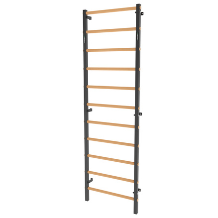 Drabinka gimnastyczna metal-drewno 240x75 cm Endorfit EH-DG05