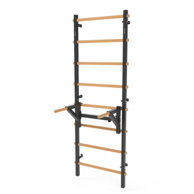 Drabinka gimnastyczna metal-drewno 210x75 cm z drążkiem do dipów, pompek ENDORFIT