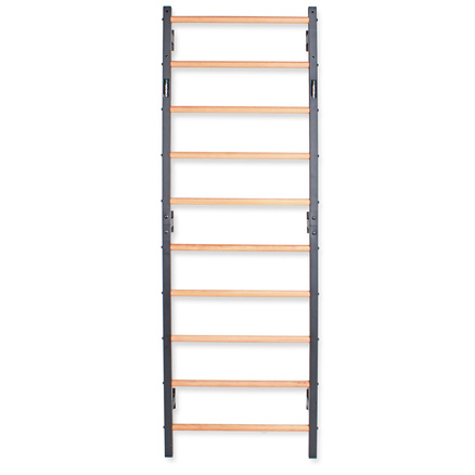 Drabinka gimnastyczna metal-drewno 232x75,5 cm Endorfit EH-DG07