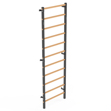 Drabinka gimnastyczna metal-drewno 240x75 cm Endorfit EH-DG05