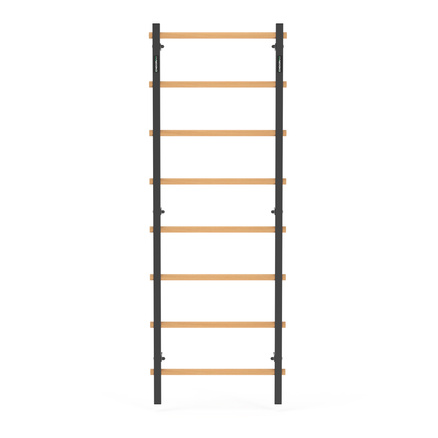 Drabinka gimnastyczna metal-drewno 210x75 cm Endorfit EH-DG06