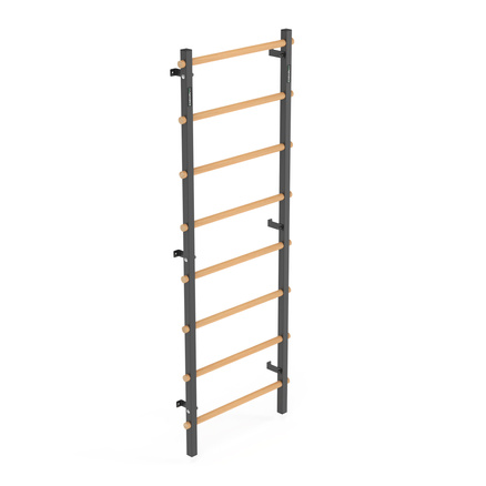 Drabinka gimnastyczna metal-drewno 210x75 cm Endorfit EH-DG06