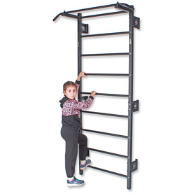 Drabinka gimnastyczna z drążkiem do ćwiczeń Endorfit EH-DG04