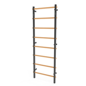 Drabinka gimnastyczna metal-drewno 210x75 cm Endorfit EH-DG06