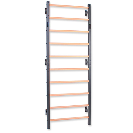 Drabinka gimnastyczna metal-drewno 232x85,5 cm Endorfit EH-DG08