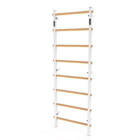 Drabinka gimnastyczna metal-drewno 210x75 cm Endorfit EH-DG06