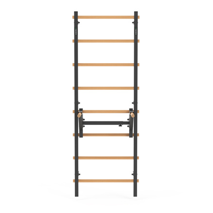 Drabinka gimnastyczna metal-drewno 210x75 cm z drążkiem do dipów, pompek ENDORFIT