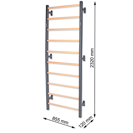Drabinka gimnastyczna metal-drewno 232x85,5 cm Endorfit EH-DG08