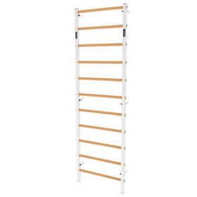 Drabinka gimnastyczna metal-drewno 240x75 cm Endorfit EH-DG05