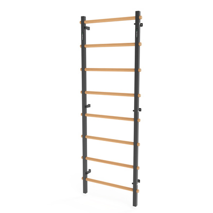 Drabinka gimnastyczna metal-drewno 210x75 cm Endorfit EH-DG06